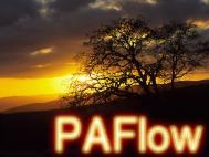 logo PAFlow